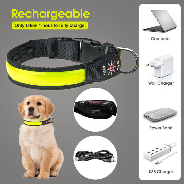 50Cm Rechargeable Light Up Led Pet Collar Dog Collars