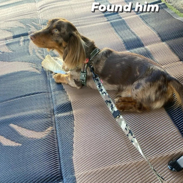 Camping Mat Warehouse Horse 3M X 1.8M Recycled Door Mats & Floor Mats