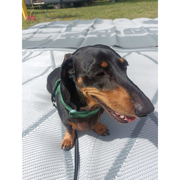 Camping Mat Warehouse Diamond 1.8M X Recycled Poly Door Mats & Floor Mats