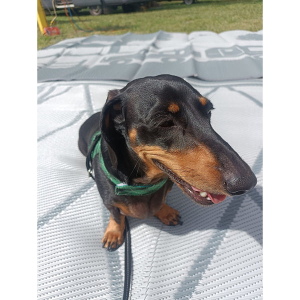 Camping Mat Warehouse Diamond 6M X 2.4M Recycled Poly Door Mats & Floor Mats