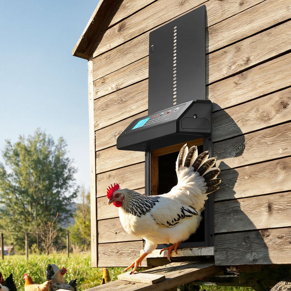 Automatic Chicken Coop Door Battery Powered With Timer & Manual Setting Anti Pinch Security Durable Aluminum Alloy Run Gate Opener Waterproof Sealing