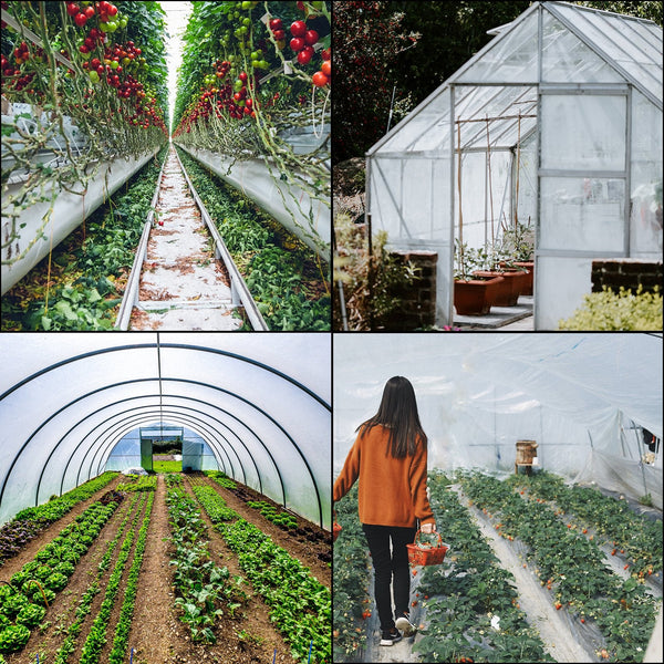 Vevor Greenhouse Film Polyethylene 20X28 Ft Plastic Greenhouses