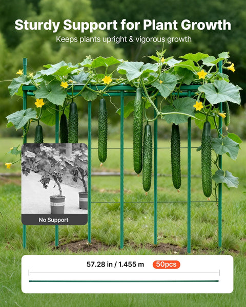 Garden Stakes 50 Pack 1455 Mm Plastic Coated Metal Tomato Sticks For Plants Support With Pointed End And Non Slip Bumps Growing Climbing Outdoor Veget