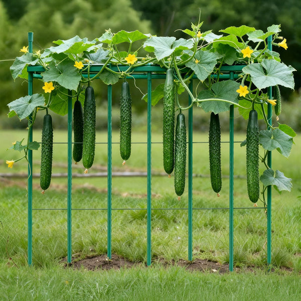 Garden Stakes 50 Pack 1455 Mm Plastic Coated Metal Tomato Sticks For Plants Support With Pointed End And Non Slip Bumps Growing Climbing Outdoor Veget
