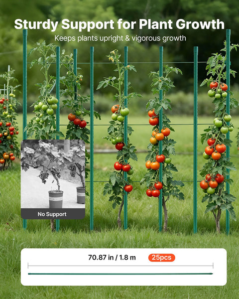 Garden Stakes 25 Pack 1800 Mm Plastic Coated Metal Tomato Sticks For Plants Support With Pointed End And Non Slip Bumps Growing Climbing Outdoor Veget