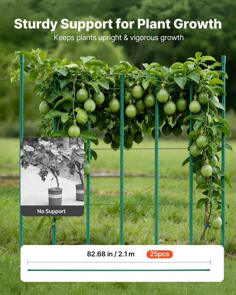 Garden Stakes 25 Pack 2100 Mm Plastic Coated Metal Tomato Sticks For Plants Support With Pointed End And Non Slip Bumps Growing Climbing Outdoor Veget