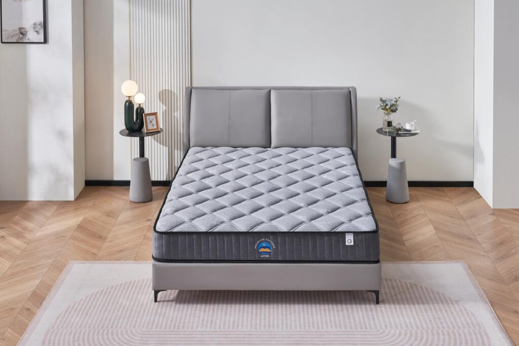 Aster Hybrid 22Cm Thickness Euro Top Matttress Queen Mattresses