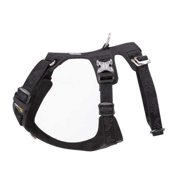 Whinhyepet Harness Black S Harnesses