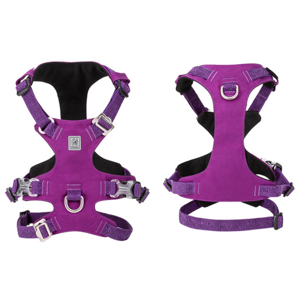 Whinhyepet Harness Purple L Harnesses
