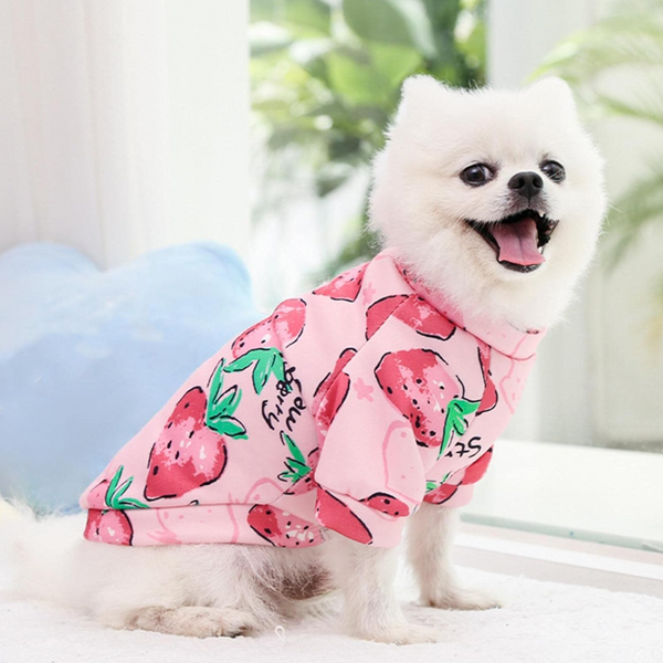 Xs Cute Pet Dog Warm Jumper Sweater Clothes Cat Knitwear Knitted Coats Winter Pink Strawberry Dog Clothing & Shoes