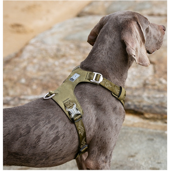 True Love Lightweight Dog Harness Green Harnesses