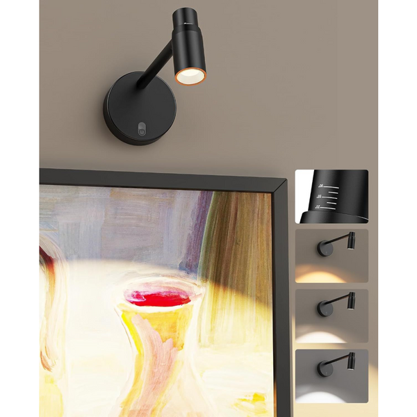 Zoomable Picture Light For Wall Battery Operated Cct Dimmable Spotlight With Remote Wall Fixtures