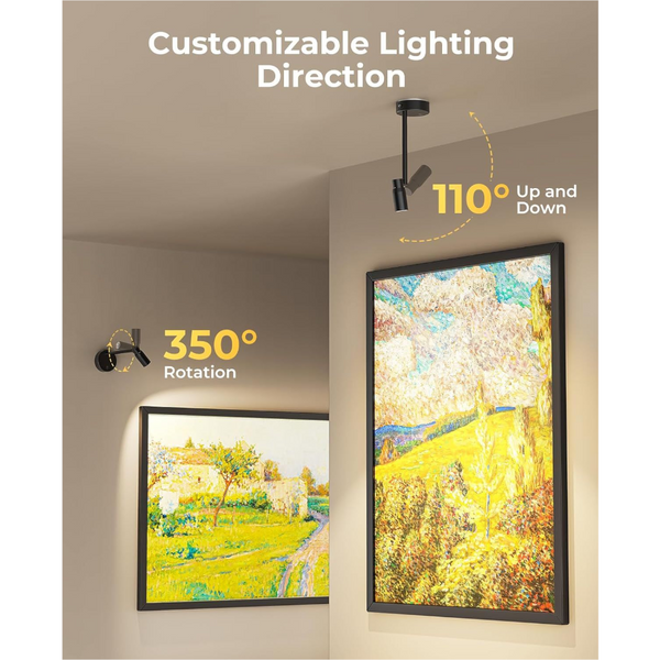 Zoomable Picture Light For Wall Battery Operated Cct Dimmable Spotlight With Remote Wall Fixtures