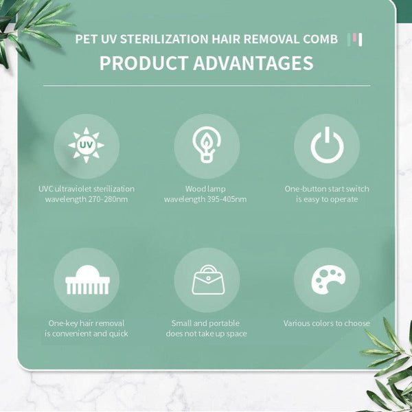 Pet Germicidal Sterilizing Comb Usb Rechargeable Cat Dog Automatic Hair Removal Brush Dog Grooming