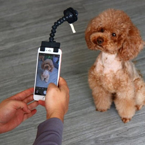 Adjustable Selfie Stick For Pet Black