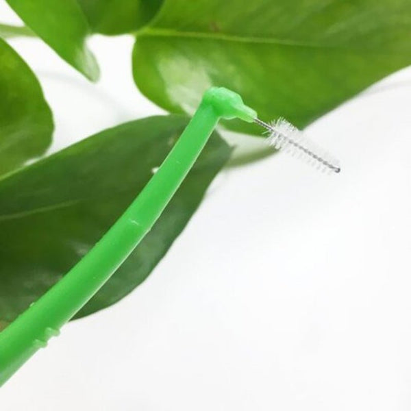 Adult Oral Health Care L Shaped Interdental Brush 5Pcs White Dental Floss & Flossers