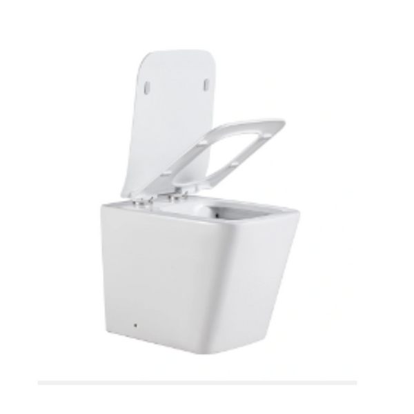 Belbagno Ardente R Rimless Back To Wall Floor Pan Other Bathroom Accessories