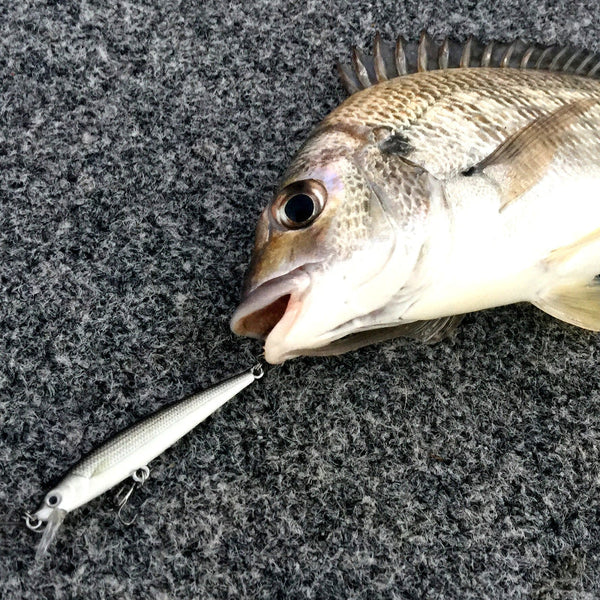 Finesse Naturals Rainbow 60 Baits & Lures