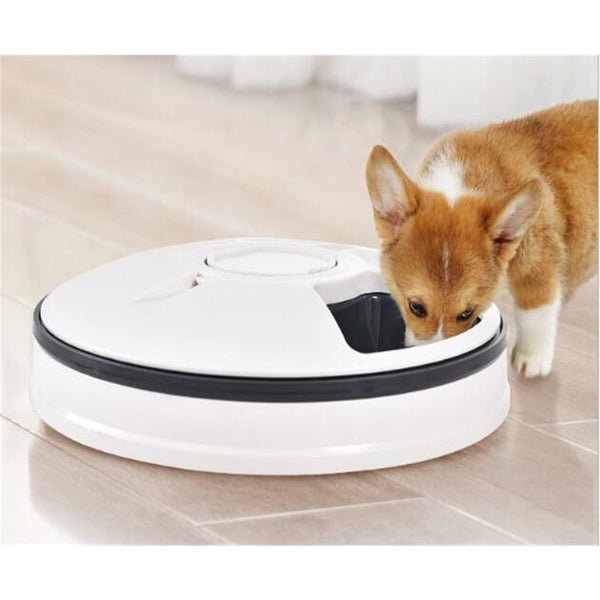 Automatic Cat Feeder Timed Food Dispenser For Dogs Cats Small Animals Digital Pet Distribution 6 Meal