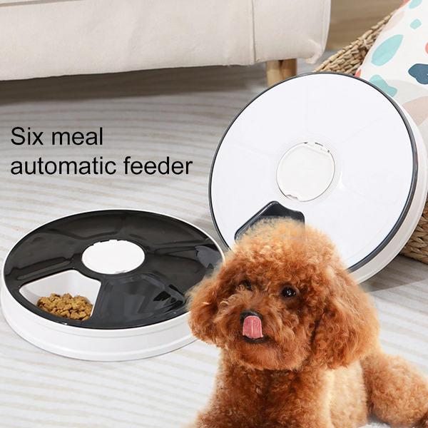 Automatic Cat Feeder Timed Food Dispenser For Dogs Cats Small Animals Digital Pet Distribution 6 Meal