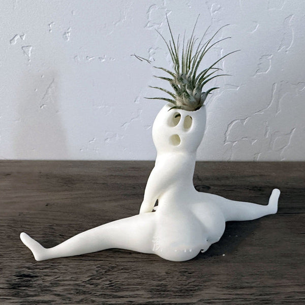 Lively Air Plant Display Ghost Flower Pot Modern Simplicity Home Garden White Baskets Pots Window Boxes