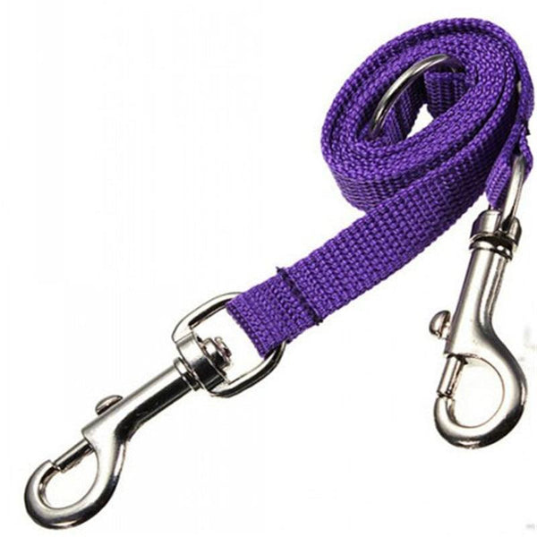 Purple Double Dog Leash For Two Dogs Belt Leads & Head Collars