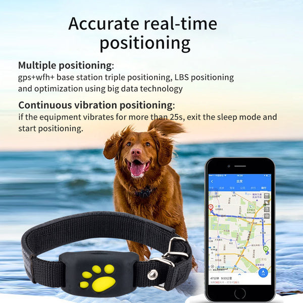 Black Real Time Pet Tracker Locator Magnetic Charging Multi Mode Positioning For Dogs & Cats Gps