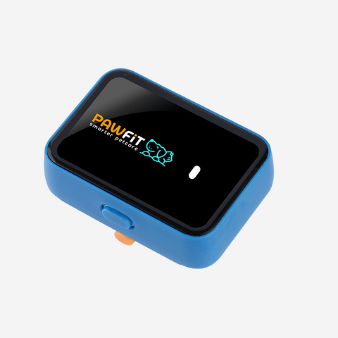 Pawfit 3 Case Blue Pet Transport