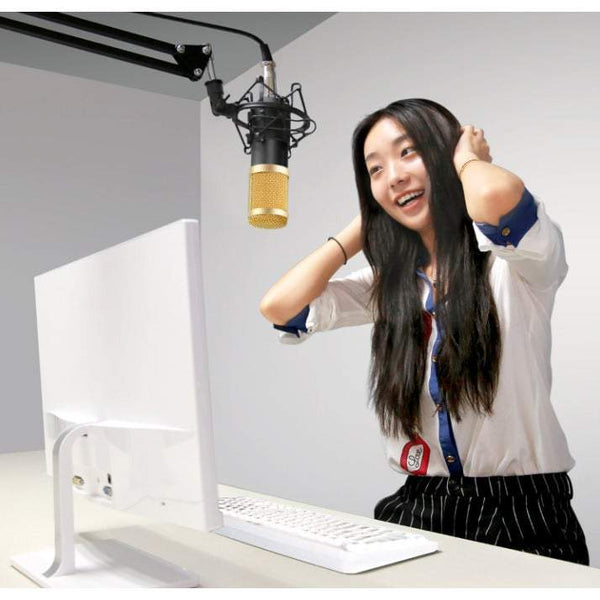 Microphones Bm 800 Uni Directional Professional Studio Broadcasting Recording Condenser With Shock Mount