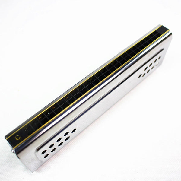 Both Sides Swan Harmonica Tremolo C G Key 24 Holes Double Harp Mouth Organ Woodwind Instruments Harmonicas
