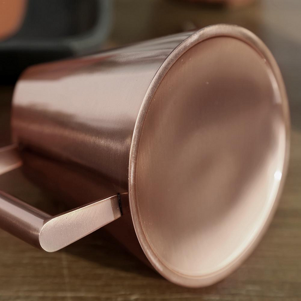 Bronze Or Gold Stainless Steel Watering Can Indoor Garden Watering Cans & Spray Bottles