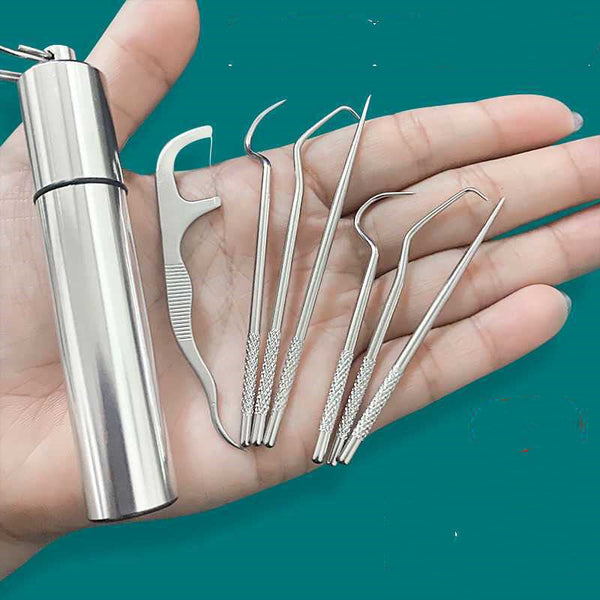 Toothpick Dispensers Stainless Steel Toothpick 304 Household Portable Cleaning Tool Set