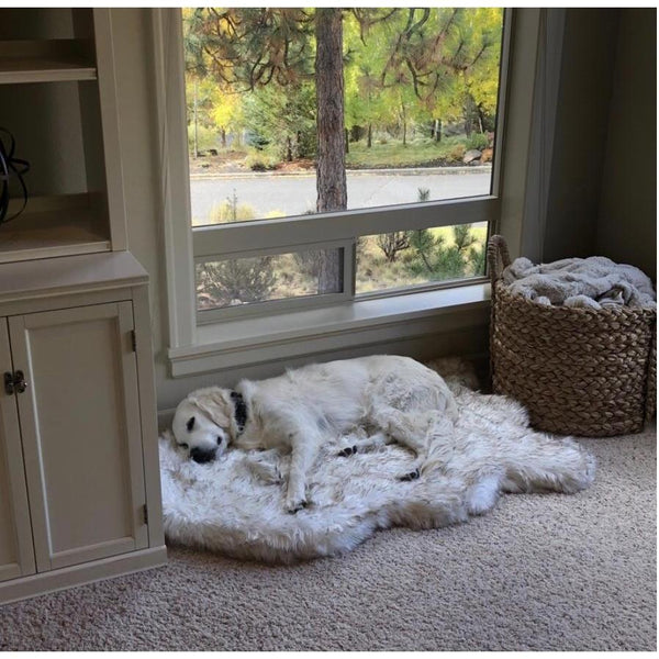 The Ortho Vegan Fur Dog Bed With Memory Foam Pet Beds