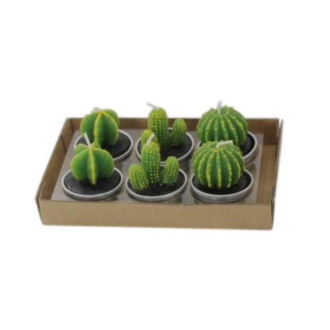 6Pcs/Set Artificial Cactus Succulent Plant Green Mini Dcor Candles