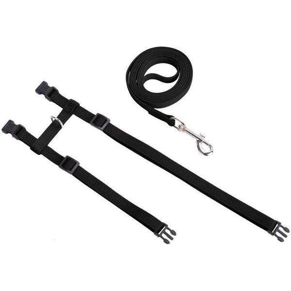 Pet Leads Leashes Cat Chest Strap And Nylon Kitty Belt Safety Rope Towing Black Leads & Head Collars