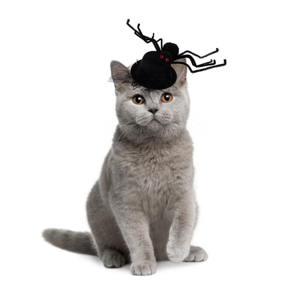 Cats Dogs Spider Hat Headgear For Halloween Cosplay Prop Dog Costumes