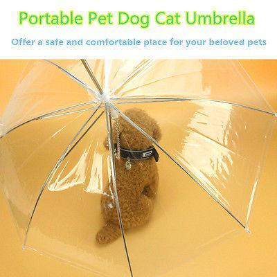 Transparent Pet Umbrella Portable Built In Leash