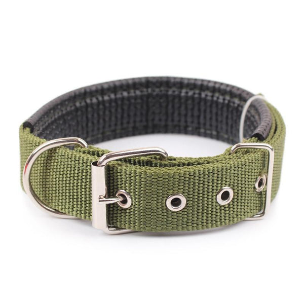 Walk Me Nylon Flat Dog Collar Dog Collars