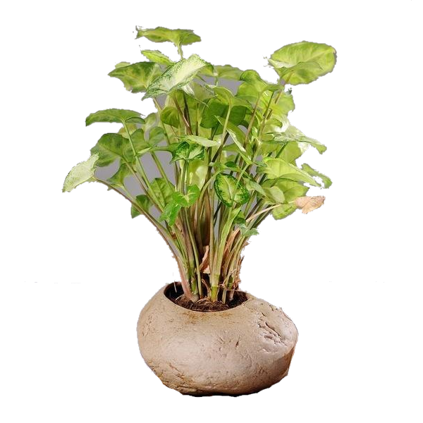 Ceramic Stone Pots Indoor Garden Decor Baskets Pots Window Boxes