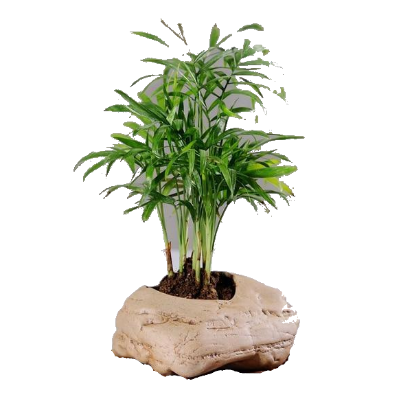 Ceramic Stone Pots Indoor Garden Decor Baskets Pots Window Boxes