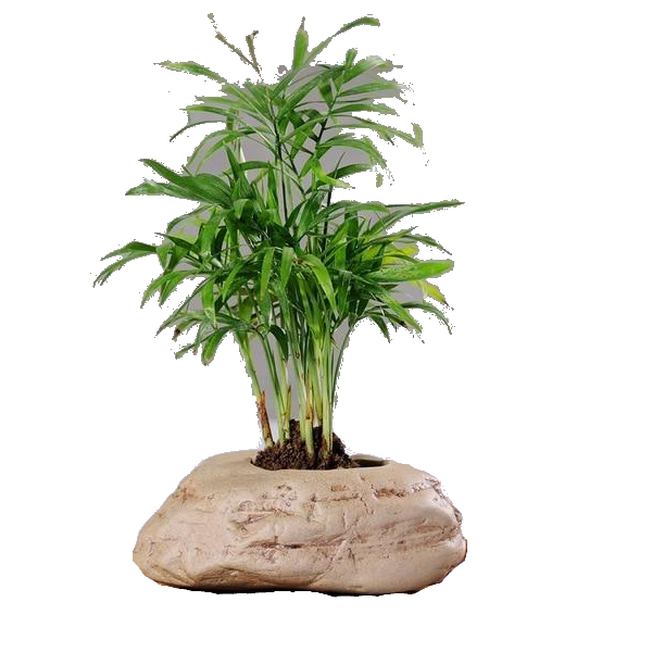 Ceramic Stone Pots Indoor Garden Decor Baskets Pots Window Boxes