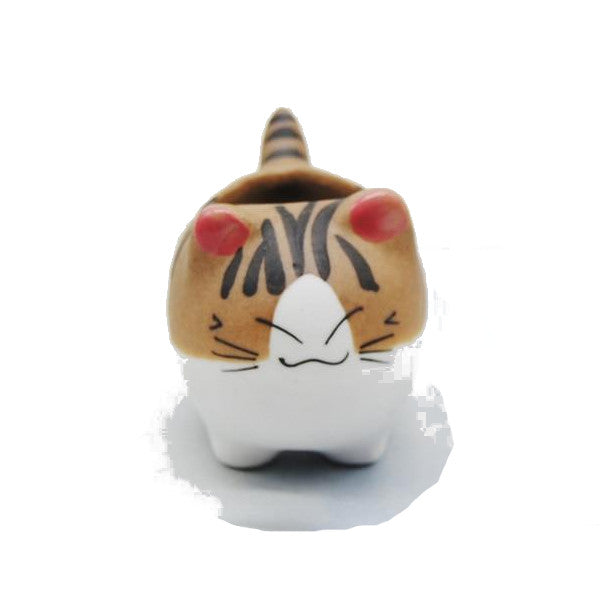 Cheeky Cat Cute Succulent Mini Flower Pot Desktop Decor Baskets Pots Window Boxes