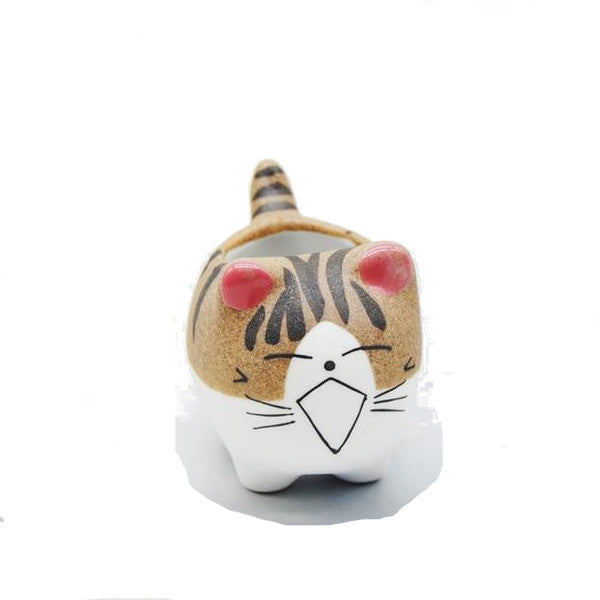Cheeky Cat Cute Succulent Mini Flower Pot Desktop Decor Baskets Pots Window Boxes