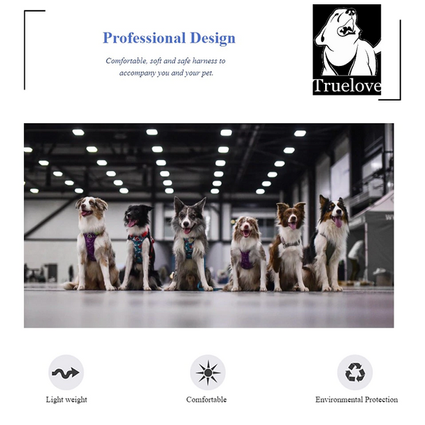 Comfortable Breathable Pet Harness Dog Supplies Led Lights Harnesses