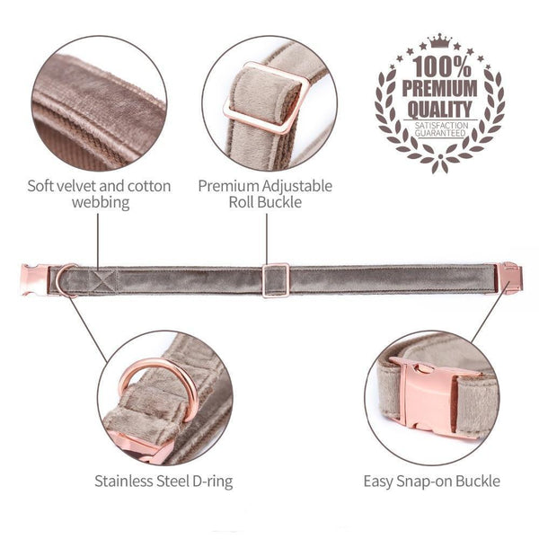 Creamy Coffee Velvet Dog Collar Leash Set Leads & Head Collars