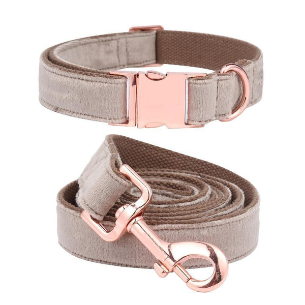 Creamy Coffee Velvet Dog Collar Leash Set Leads & Head Collars