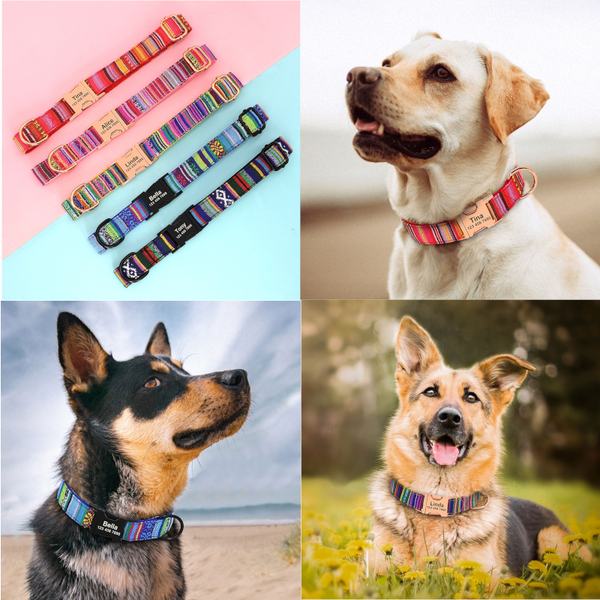 Custom Printed Small Large Dogs Dog Collars