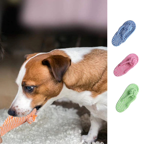 Cute Colourful Thong Cotton Rope Dog Toys