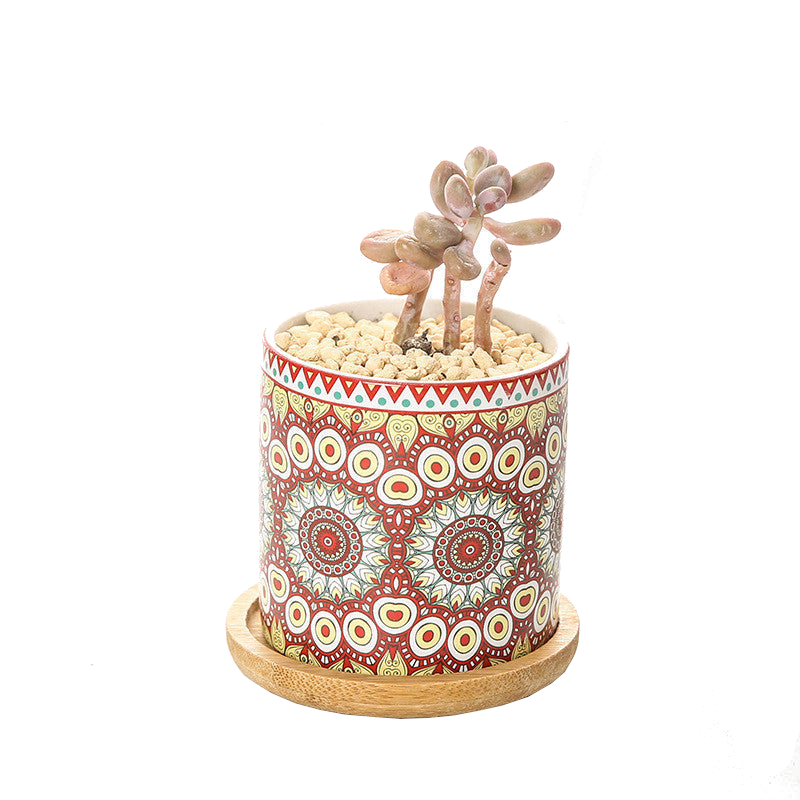 Cute Mini Mandala Succulent Nordic Colour Pot Baskets Pots Window Boxes