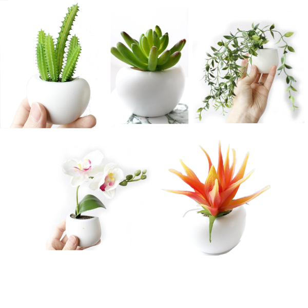 Cute Plant Fridge Magnets Succulent Cactus Orchid Refridgerator Decorations Refrigerator Magnets